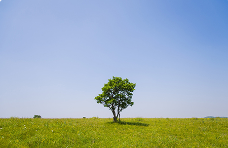 完善制度，规范流程，严酷推行信息披露义务