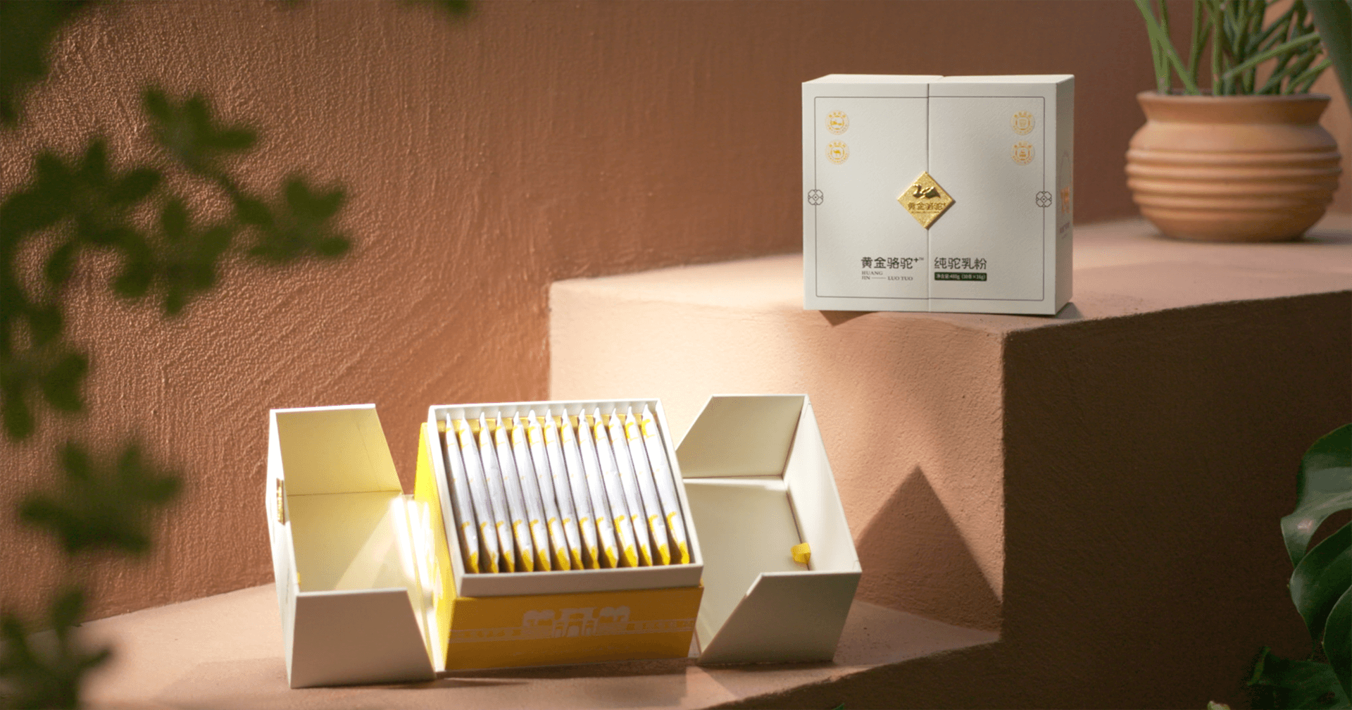 定位小众高端乳粉，尊龙凯时推出驼奶品牌“黄金骆驼+”，角逐乳品新市。