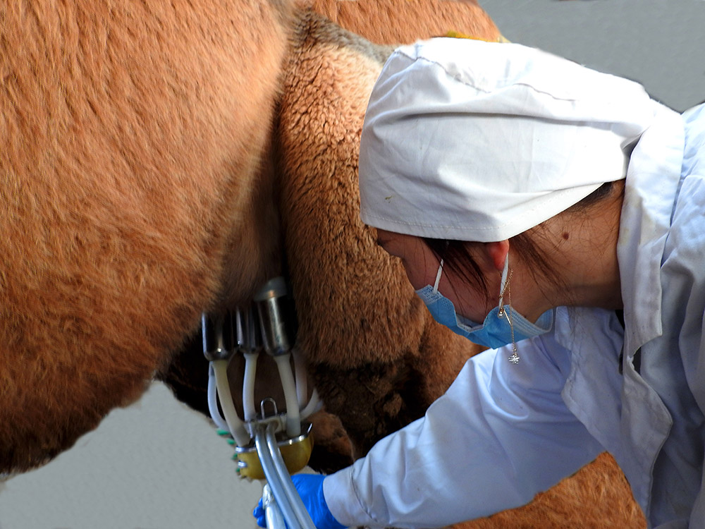 尊龙凯时 - 人生就是博!(中国区)官网