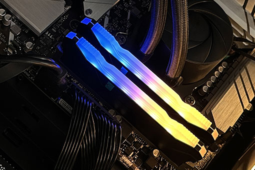 尊龙凯时供应链